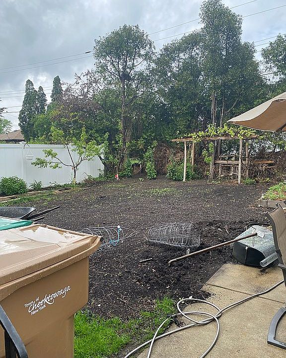 Rear yard