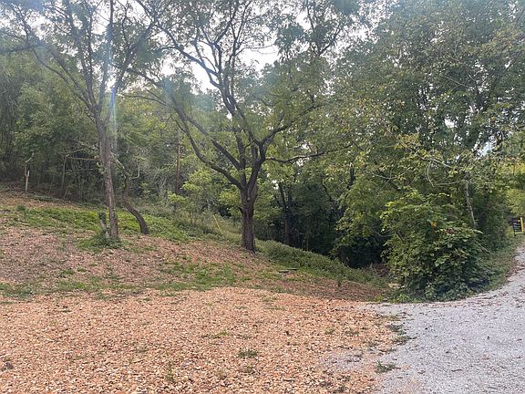 3rd image of 580 State Highway 176  (3.1 Acres)