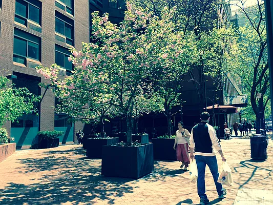 Rented by Torkan Real Estate | media 17