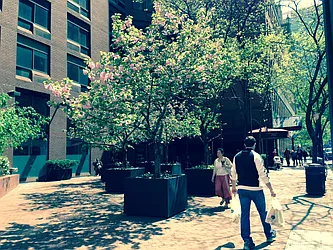 Rented by Torkan Real Estate