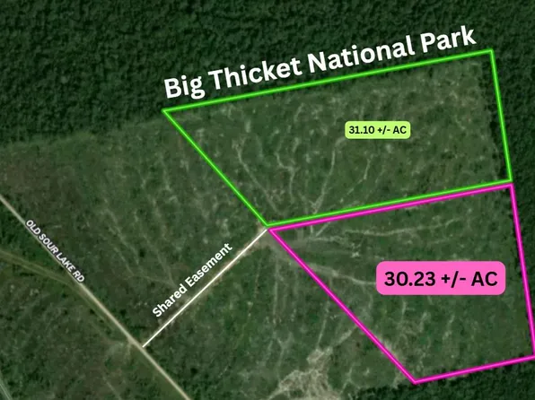 36780 Old Sour Lake Rd, Sour Lake, TX 77659