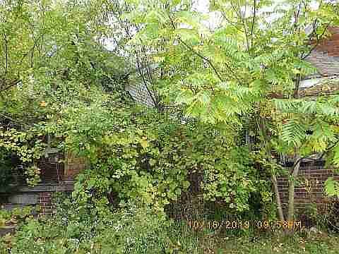 14259 Wade