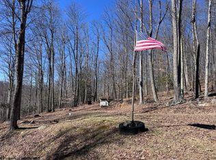 863 Jackson Fork Rd, Tallmansville, WV 26237