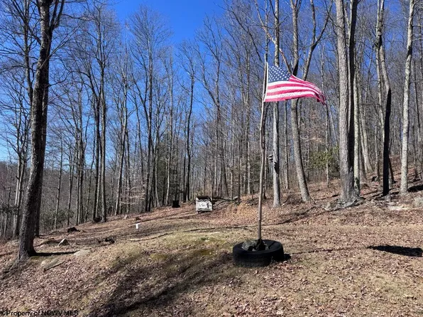 863 Jackson Fork Rd, Tallmansville, WV 26237