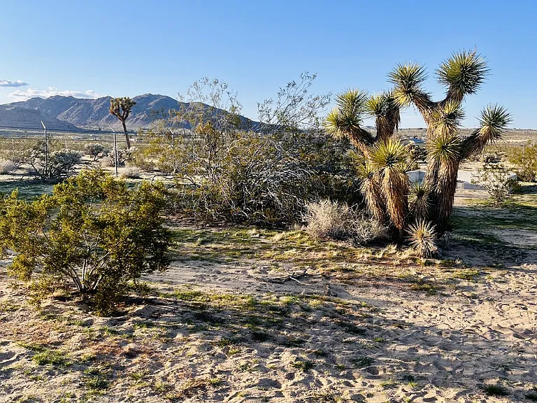 62340 Hacienda Rd — Photo 37
