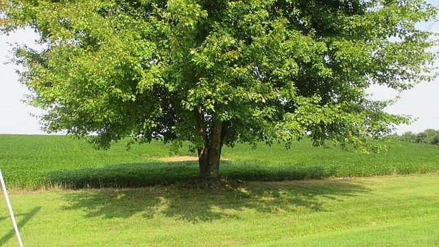 2nd image of 9528 N County Road 760 E