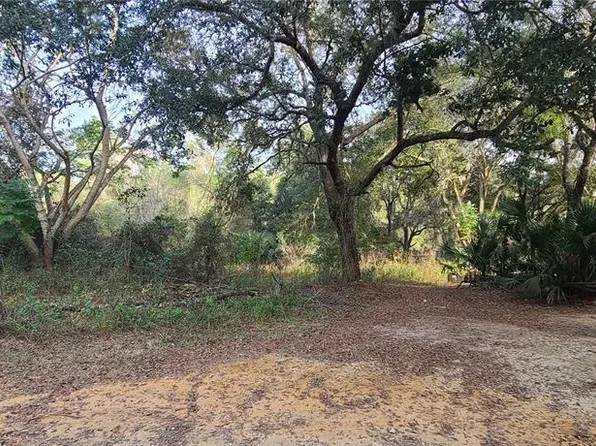 17205 SE 252nd Ave #9, Umatilla, FL 32784