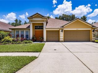 10519 San Travaso Dr, Tampa, FL 33647
