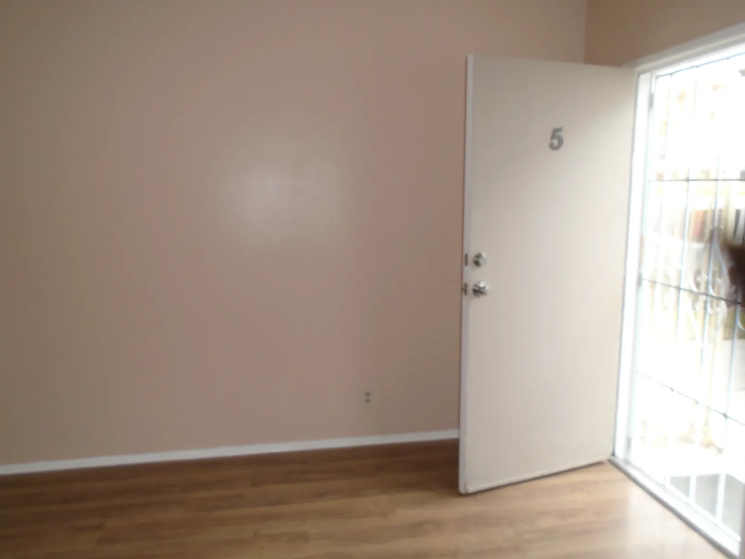 1 bed, $1,650 — Photo 2