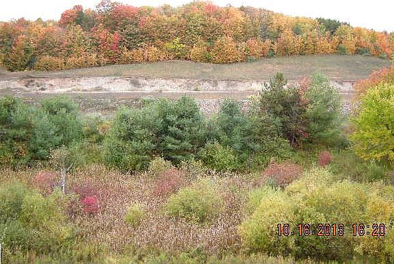 4th image of 4805 Black Bear Dr