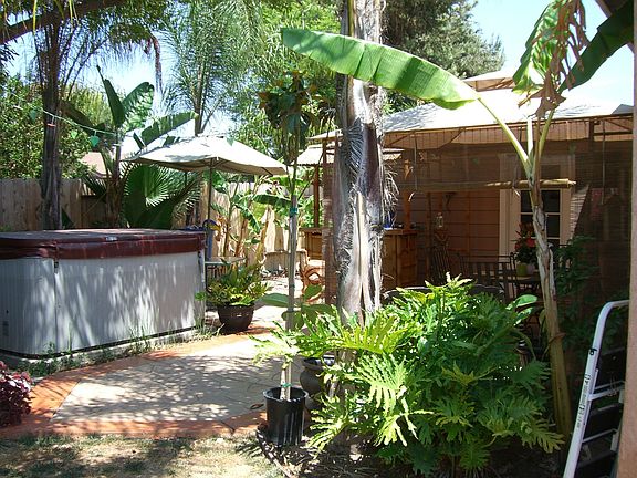 Mature Canopy In Back