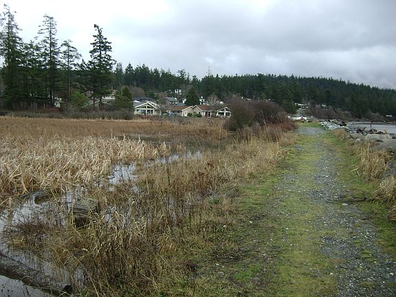 Salt marsh and jetty walk