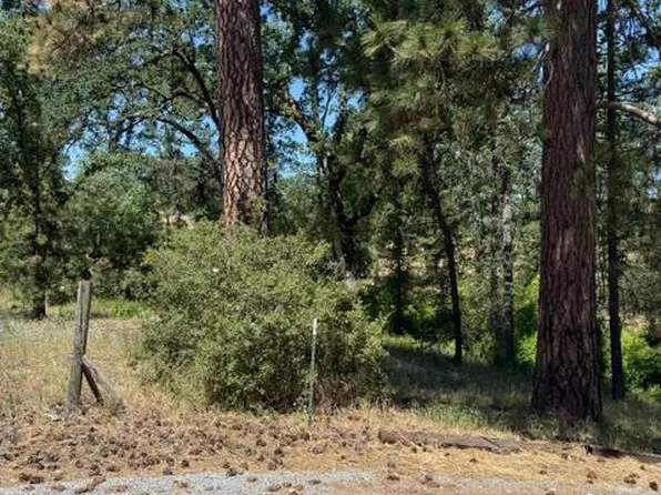 3764 Black Oak River Rd, Oakhurst, CA 93644