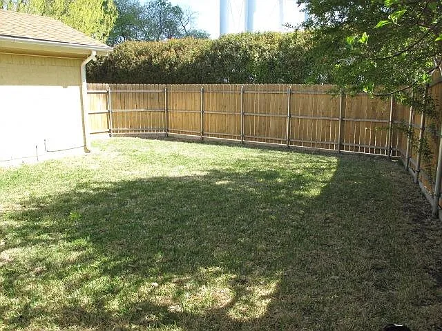 back yard
