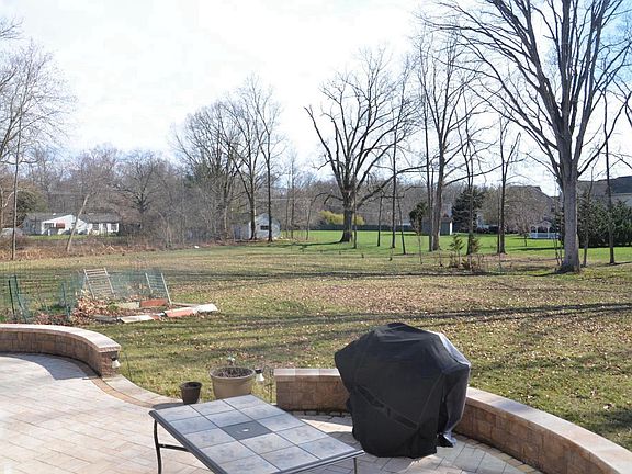 Beautiful view of trees from back yard...looks much better i