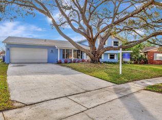 6709 Mornay Cir, Tampa, FL 33615