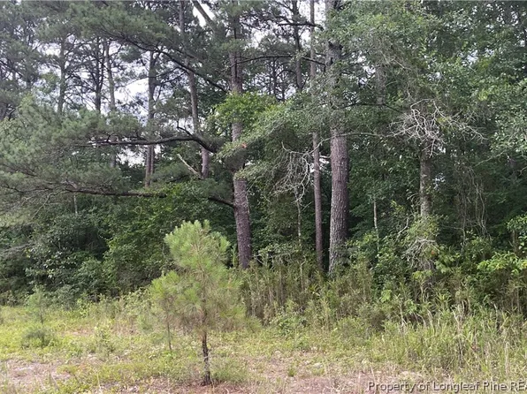 Sanderosa 477 88 1702 Rd, Fayetteville, NC 28312