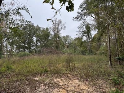 29507 Clay St, Albany, LA, 70711
