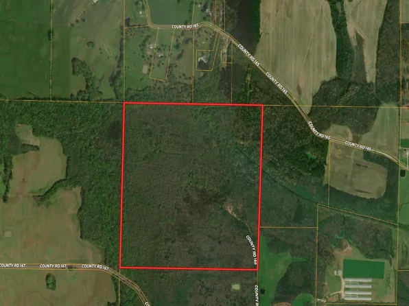 County Road 167, Moulton, AL 35650