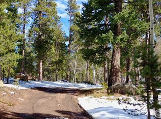 73 Ranch Rd, Ward, CO 80481