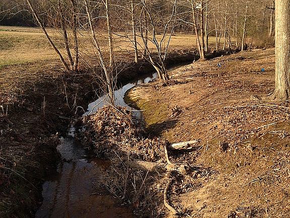 Quiet creek and land