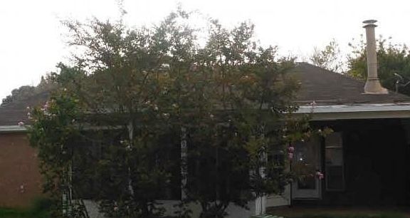 2nd image of 1235 Whisperwood Dr