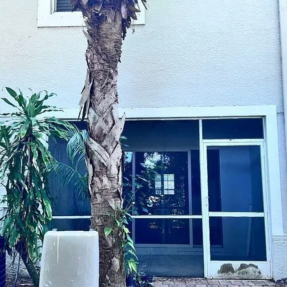 8239 Pacific Beach Dr — Photo 30