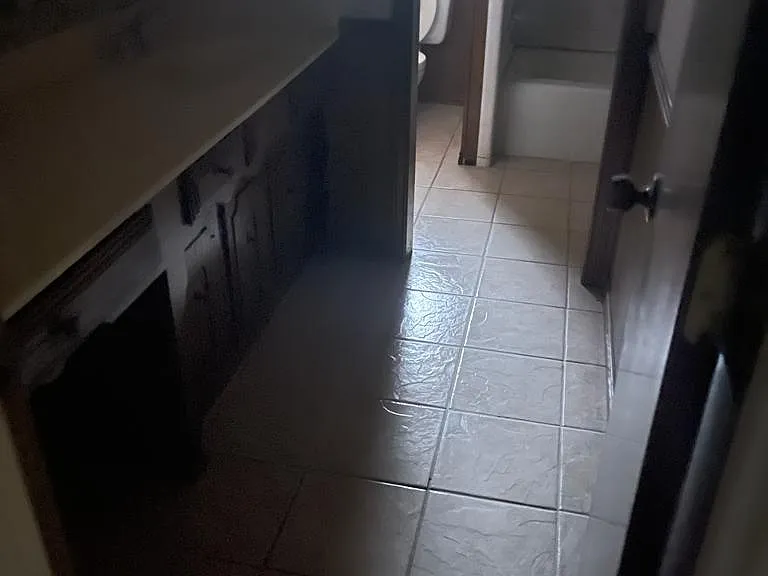441 Shiloh Dr — Photo 10