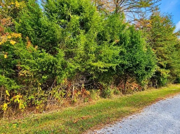 9 Buck Tail Dr, Burnside, KY 42519