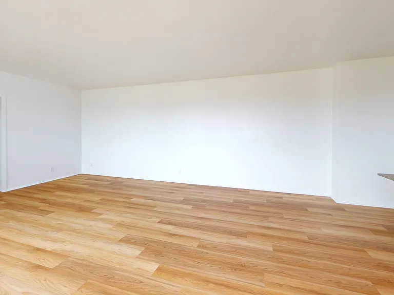 Parkmerced Apartments — Photo 83