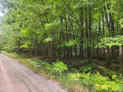 Lots 239 240 241 Havenwood Dr, Lake, MI, 48632