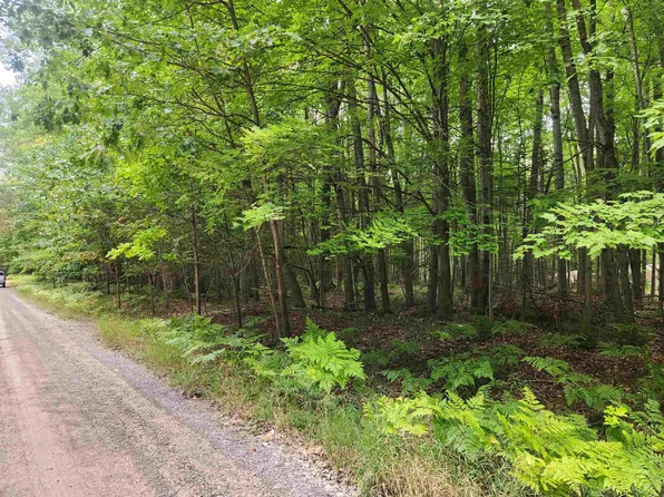 Lots 239 240 241 Havenwood Dr, Lake, MI 48632