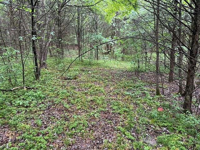 1st image of 8 Teeters Rd
