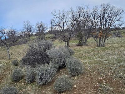 LOT 215 Rainbow St, Hornbrook, CA, 96044