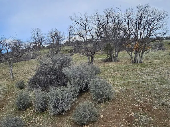 LOT 215 Rainbow St, Hornbrook, CA 96044