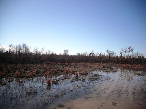 4th image of 10535 Fm 2735