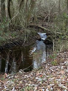 8250 Bucket Creek Rd, Milton, FL, 32570