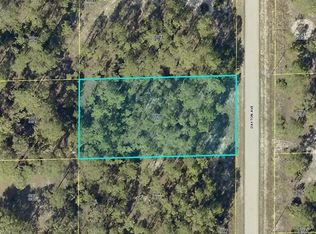 1511 Dayton Ave, Lehigh Acres, FL 33972