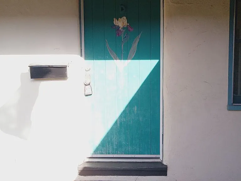 1132 Poli St — Photo 13