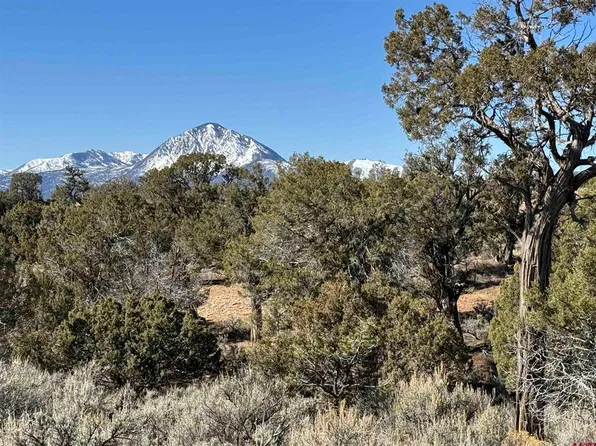 Lot 15 Road K.3, Cortez, CO 81321
