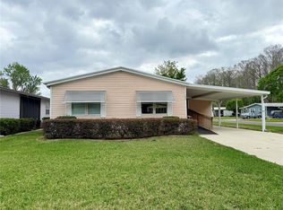 100 Lyonia Ln, Wildwood, FL 34785