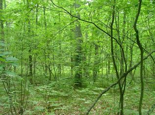 Peacock Rd, Wellston, MI 49689