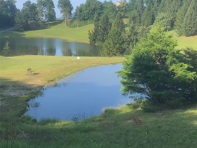 White Oak Mountain Rd — Photo 49