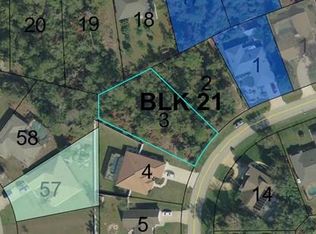 22 Fallen Oak Ln, Palm Coast, FL 32137