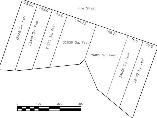 104 Pine Rd #4, Blackstone, VA 23824