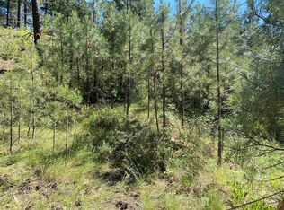 1256 Crown Point Pkwy, Cascade, ID 83611