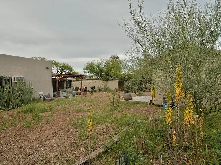 2842 E Blacklidge Dr — Photo 23
