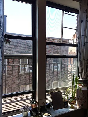 Rented by Living New York | media 20