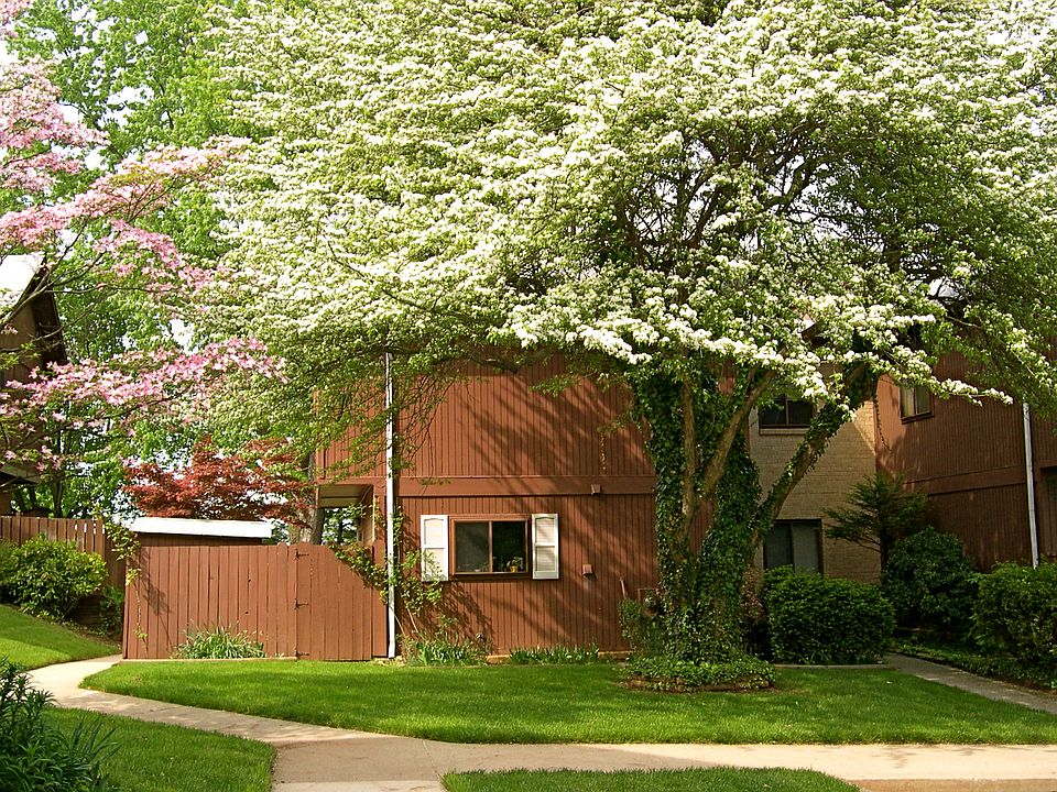 House in springtime.