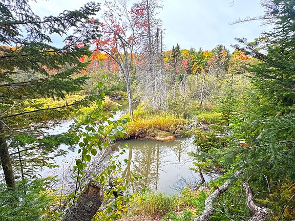 4th image of 41483 W Betsy River Rd